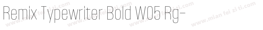 Remix Typewriter Bold W05 Rg字体转换